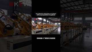 The palletizing robot factory is equipped with strong capabilities to supply you. #robot