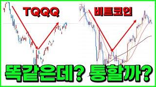 월 2,000만원 수익난 무한매수법 비트코인에서도 통할까? 그냥 결과로 보여드립니다