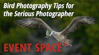 Bird Photography Tips for the Serious Photographer