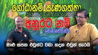 විසිතුරු මත්සය්‍ය උපදේශකගෙන් දැඩි ප්‍රකාශයක්  #wakkra