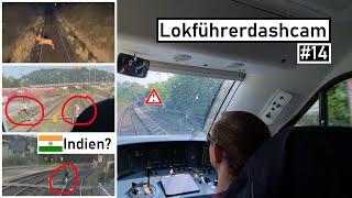 Dashcam Lokführer #14 | Zustände wie in Indien? und viele Tiere