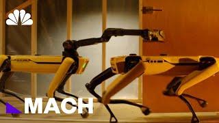 Boston Dynamics' 4-Legged Robot Spot Could Be Coming To An Office Near You | Mach | NBC News