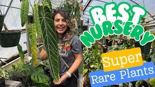 RARE PLANT NURSERY TOUR AT A MIND BLOWING NURSERY! Houseplant Collectors Dream!