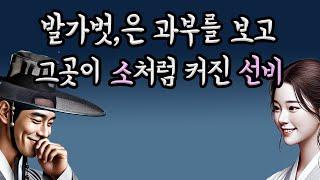 (야담) 거대한 선비의 그곳을 보고 맥없이 넘어간 과부 ｜민담｜전설｜설화｜