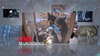 Join the Neuroscience Undergraduate Major at the University of Maryland, College Park