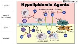 Hypolipidemic Agents