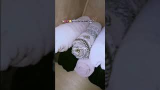 وقتي المفضل ، #اكسبلور #iraq #لايك #ستوريات_انستا #فاطمة آل جاسم