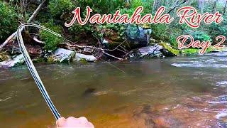 Fly Fishing North Carolina | The Nantahala River | Brook Trout Bonanza