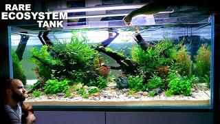 The Rare Ecosystem Tank: 100's of Rare Nano Fish - EPIC 4ft Aquascape Tutorial