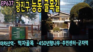 광진구 능동 골목길, 450년 향나무(아차산역-어린이대공원-능동주민센터)Seoul, Neung-dong EP637