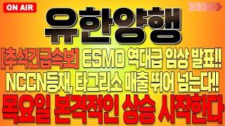 [유한양행 주가 전망] "추석긴급속보" ESMO 역대급 임상 발표!! 렉라자 NCCN 등재, 타그리소 매출 뛰어 넘는다!! 목요일부터 본격적인 상승 시작합니다!! #유한양행주식전망