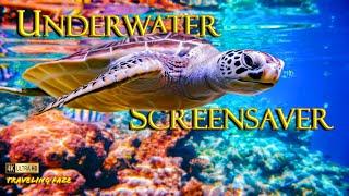 2 Hour Underwater Escape ~ Marine Life with Relaxing Music [4K] [SCREENSAVER]