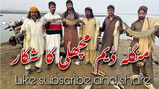 Mangla Dam Big Shikar | Mali machli Ka Shikar | Big Fish | mangla dam fishing update