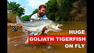 Expedition to the Congo to fish for a Goliath Tigerfish on fly.