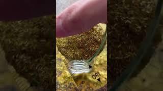 @sonn1c