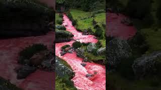 #relax #youtubeshorts #nature The famous red river in the valley of Cusco, Peru