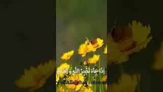 Surah An-Nasr | Heartfelt Recitation by Tajul Islam Siam #shorts
