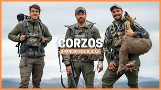 Where to Find the Biggest Roe Bucks in the World | Hunting Adventure in Spain 