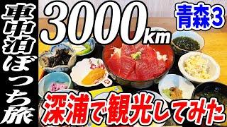 【3000km車中泊ぼっち旅】青森深浦で観光してみた！北東北3県（岩手・秋田・青森）道の駅全部巡る旅！9日目青森3