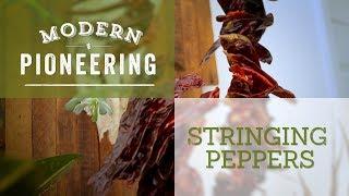 How to Dry and String Peppers