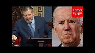 Ted Cruz: 'Relations With India Have Worsened Significantly' Under Biden