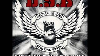 D.S.B. - Wings Continue To Strive With Unchanged Mind (Full Album)