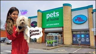 VISTING THE BIGGEST BEST PET SHOP IN LONDON - Pets at home Camden