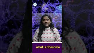 what is ribosome  #explorepage #biologymadeeasy #youtube #ribosome #learnify #ribosomes