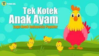 Lagu Anak Anak - Tek Kotek Anak Ayam