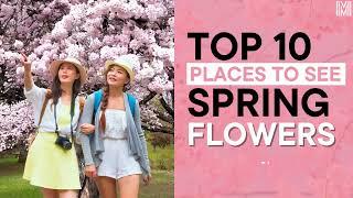 Top 10 Places to See Spring Flowers in London | Mowbray Court Hotel London