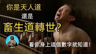 你是畜生道轉世？還是天人道？教你看一個人是從六道輪回中哪一道的轉世投胎的！