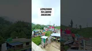 #darjeeling #travel #shorts