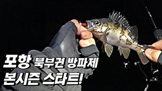 여기 볼락 사이즈가 좋네요! 추천드립니다!ㅣ포항 방파제 볼락낚시ㅣ