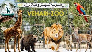 Vehari Zoo vist وہاڑی چڑیا گھر