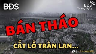 Bất Động Sản Rao Bán Cắt Lỗ Tràn Lan, Đâu Là Tin Thật - Tin Ảo ? BĐS Thường Ngày