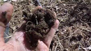 Different materials used for Mulching | FOOD FOREST | ALLEY CROPING | AGROFORESTRY PRACTICES