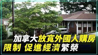 加拿大放寬外國人購房限制 促進經濟繁榮 ｜#新唐人新聞