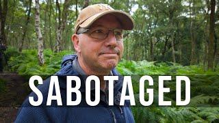 Woodland Photography - Sabotage in the Woodland