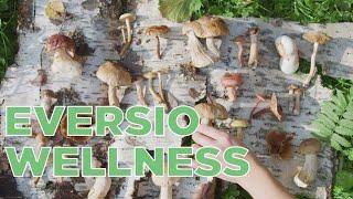 Eversio Wellness | Corporate | Vancouver Video Production | Citrus Pie Media Group