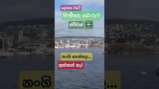 #python #jobsearch #volvo scam #scam #europevisa #lokewate #sudanthaka
