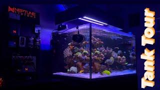 My Best Work ever! 75G mixed reef Tank Tour 