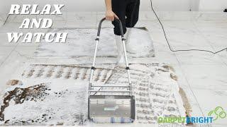 Pro Technician Cleans 2 Rugs Simultaneously | Satisfying ASMR Cleaning