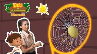 ️ WHERE'S THE SPIDER? ️ | Golden Orb Spider | Leo the Wildlife Ranger | #minisode