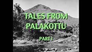 Talks on Sri Ramana Maharshi: Narrated by David Godman - Tales From Palakottu (Part I)