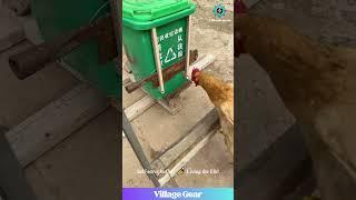 Smartest Chickens EVER?  These DIY Feeders are Next Level! #chickens #DIYhacks #funnyanimals