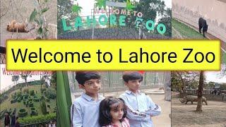 Upgraded Lahore Zoo 2024 | Lahore Zoo ko pehle sy Bhi ziyada Dilkash Bana dya.️