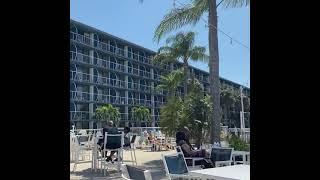 A view of the Beach from Tampa, FL