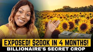 Exposed! Why African Billionaires Are Quietly Buying Sunflower Farms