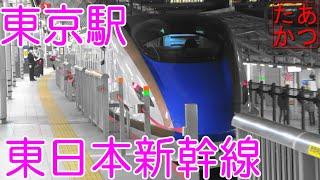 【夜の東京駅 東北・上越・北陸新幹線】はやぶさ こまち つばさ他