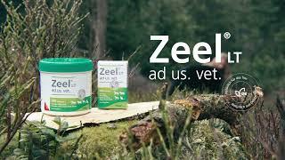 Zeel® ad us. vet. – Natürlich in Bewegung bleiben